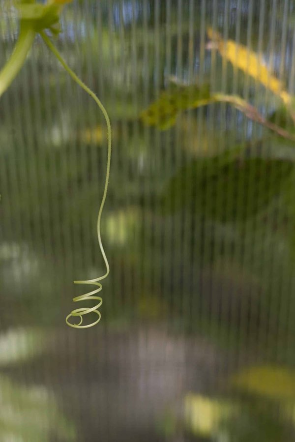 L'économie circulaire : comment les entreprises s'adaptent au modèle durable